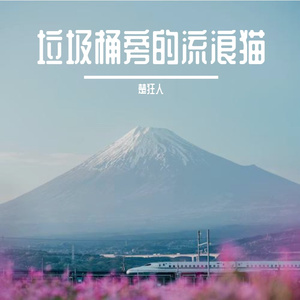 垃圾桶旁的流浪猫