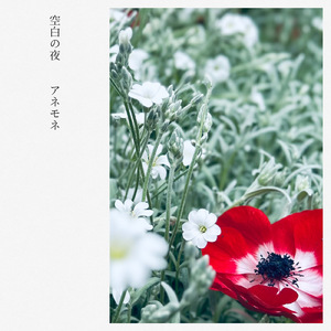 アネモネ
