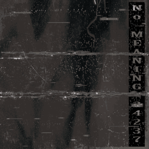 No Meaning 24267