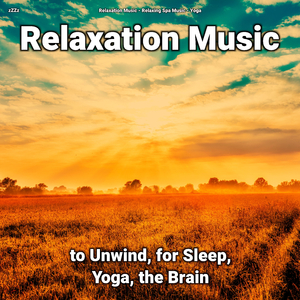 Relaxation Music Pt. 55
