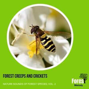 Soothing Sounds of the Nothern Flicker