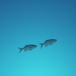 Хаос в порядке Kain , Diana