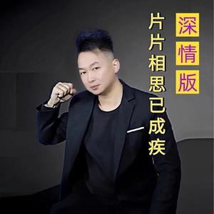 对你片片相思已成疾