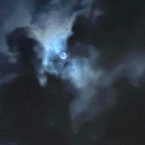 新鲜感（GONE SO FAST）prod.Rico&Roccky