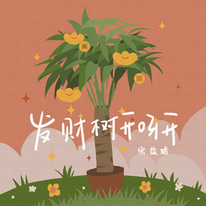 发财树开呀开