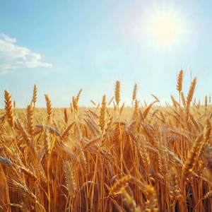 做自己喜欢的事（钢琴版）