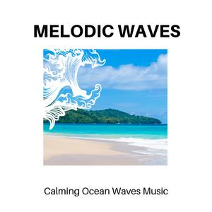 Nature Freezing Rain Motion