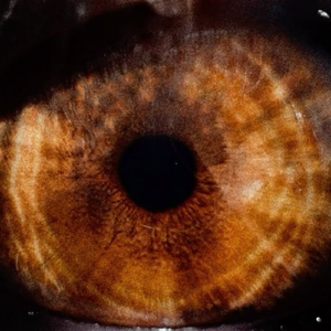 don’t look at me like that