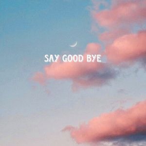 Say Good Bye《免费》不Emo Beat.