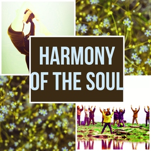 Harmony of the Soul