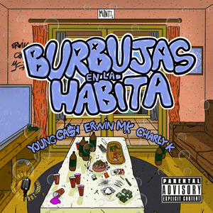 BURBUJAS EN LA HABITA