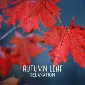 Sleep Sounds of Nature