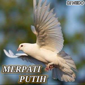 MERPATI PUTIH DISCO
