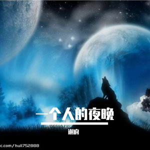 一个人的夜晚