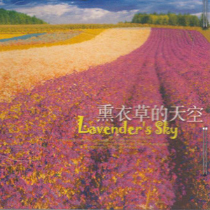 MONDRAGON的夜晚Mondragon At Night