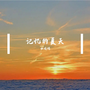 记忆的夏天