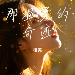 那温柔的奇迹