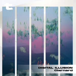 Digital Illusion