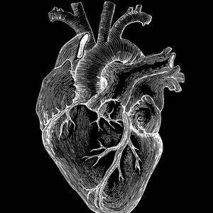 ''fetter''Travis Scott X Gunna type beat