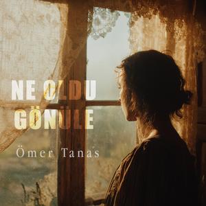 Ne Oldu Gönüle