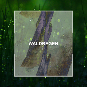 Klänge der Regennacht