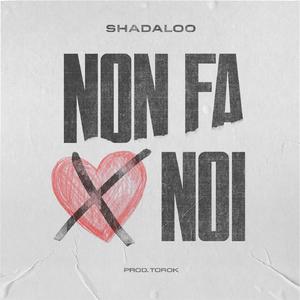 Non fa x noi