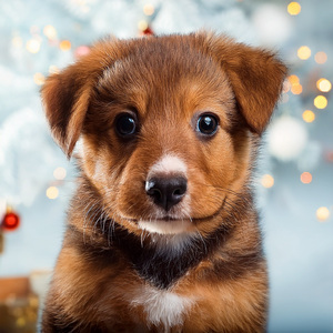 Mastica Esa Barra Por Un Minuto