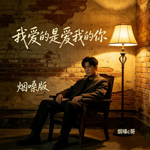 我爱的是爱我的你(烟嗓版)