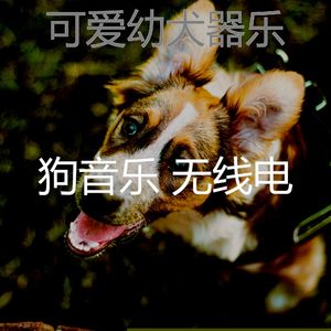 抚慰的训练你的狗回忆