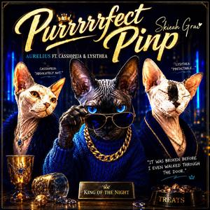 Purrrrfectly Pimp