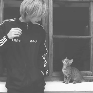 那些你对我的伤害，我居然说我甘愿