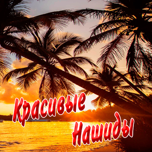 Нашид - Лидеры концессий