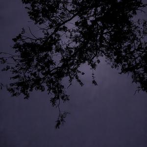 luminara