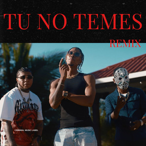 Tu No Temes (Remix)
