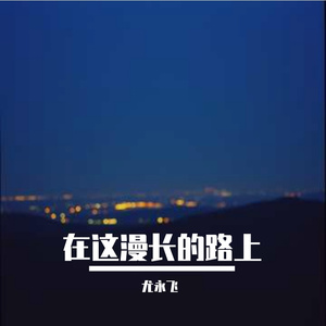 在这漫长的路上