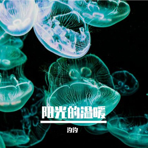 阳光的温暖