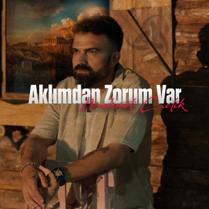 Aklımdan Zorum Var
