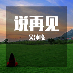说再见 伴奏