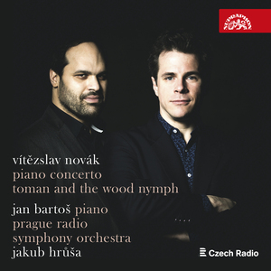 Concerto for Piano and Orchestra in E Minor:No. 2, Andante con sentimento