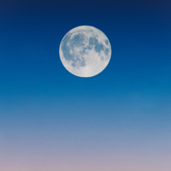 不是每个人都会像我这么的去努力