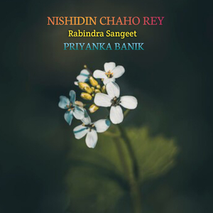 NISHIDIN CHAHO REY