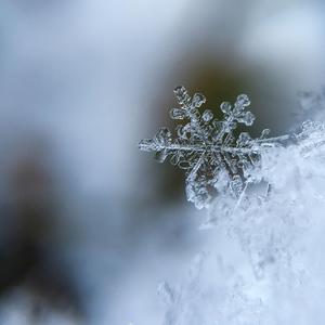snowflakes