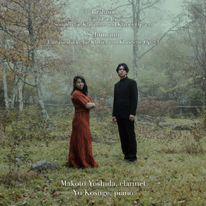 Es hing der Reif, Op. 106-3