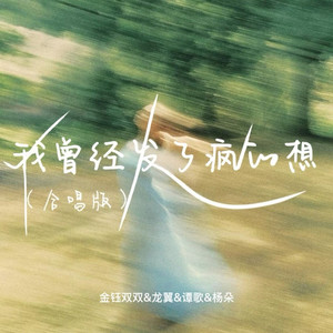 我曾经发了疯的想 (合唱版)