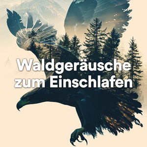 Das Singen der Vögel