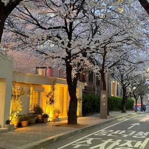 你不要担心（钢琴曲）