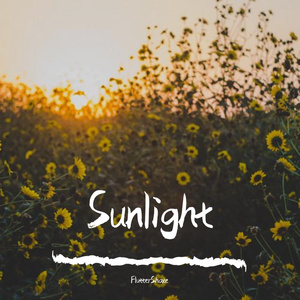 Sunlight