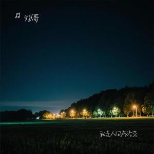 我是人间布洛芬 (Cover 陆晨风)