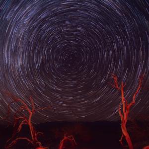 ECHO | emo trap {已售出}