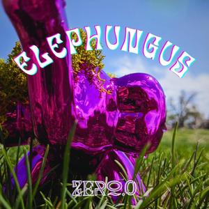 Elephungus